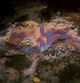 photo.php?category_id=192&file_id=3448&fileBackPage=1&filesPage=14